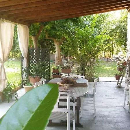 Gio's Volos