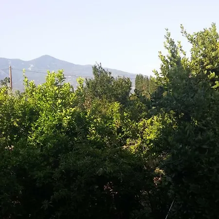 Gio's Volos